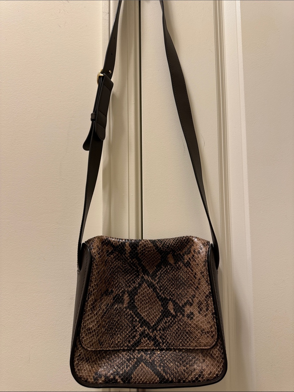Cuyana Snakeskin Crossbody bag